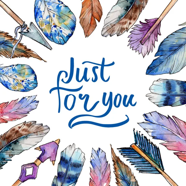 Suluboya kuş kanat tüy çerçevesinden.