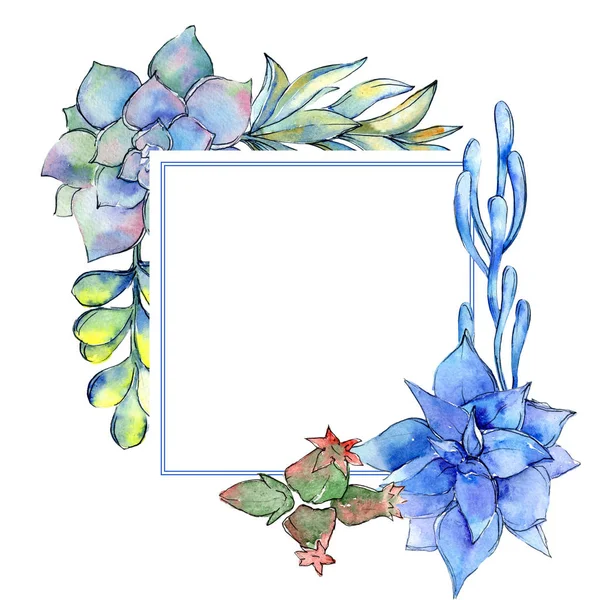 Tropikal kaktüs çerçeve bir suluboya tarzında bırakır..