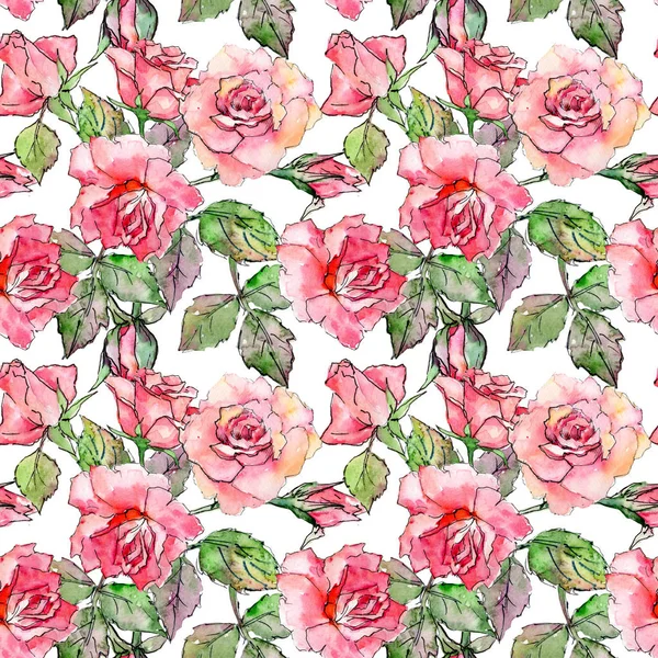 Motif fleur rose sauvage dans un style aquarelle . — Photo