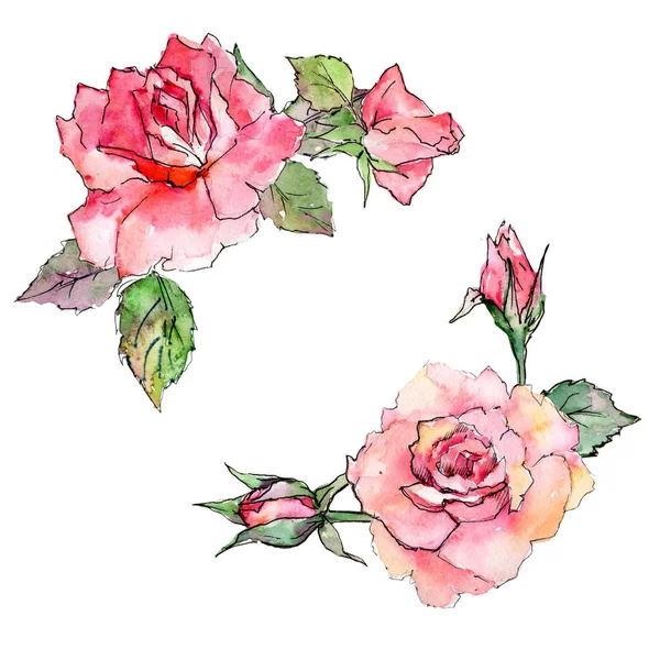 Цветок полевой розы рамка в стиле акварели . — стоковое фото