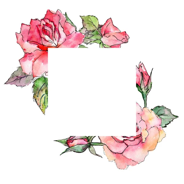 Kır çiçeği gül çiçek çerçeve suluboya tarzında.