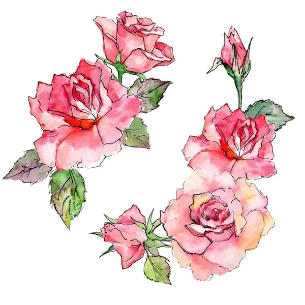 Cadre fleur rose fleur sauvage dans un style aquarelle . — Photo