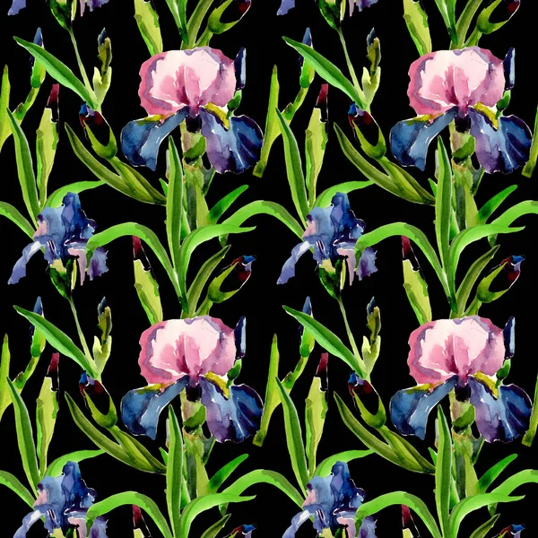 Kır çiçeği Iris çiçek deseni suluboya tarzında.