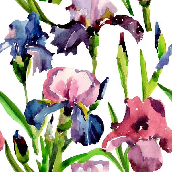 Wildflower iris flower pattern in a watercolor style. — Stock Photo, Image