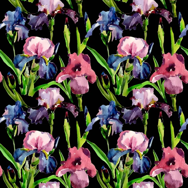 Kır çiçeği Iris çiçek deseni suluboya tarzında.