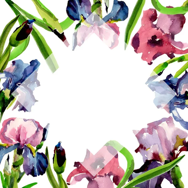 Wildflower iris květiny rámec ve stylu akvarelu. — Stock fotografie