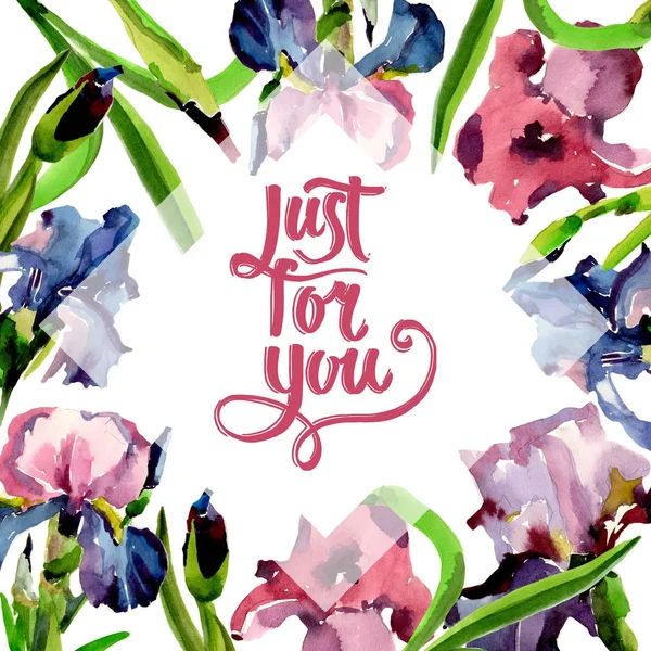 Kır çiçeği Iris çiçek çerçeve suluboya tarzında.