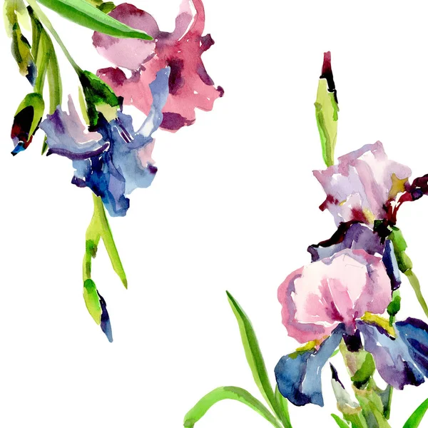 Cadre fleur iris fleur sauvage dans un style aquarelle . — Photo