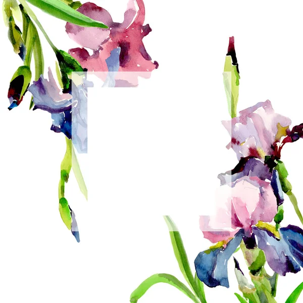 Kır çiçeği Iris çiçek çerçeve suluboya tarzında.