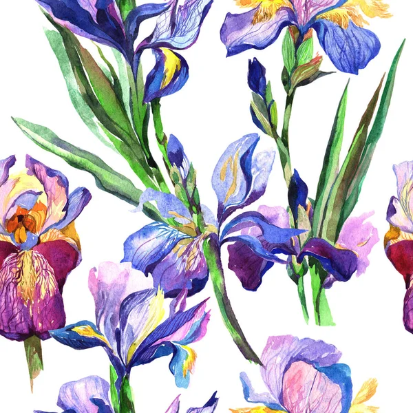 Modèle de fleur d'iris de fleur sauvage dans un style aquarelle . — Photo