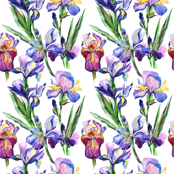 Kır çiçeği Iris çiçek deseni suluboya tarzında.