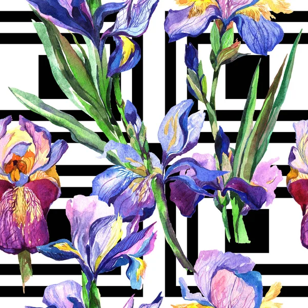 Kır çiçeği Iris çiçek deseni suluboya tarzında.