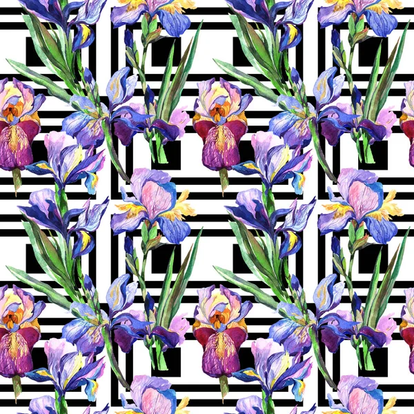Kır çiçeği Iris çiçek deseni suluboya tarzında.