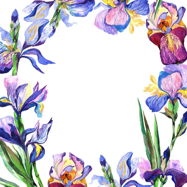 Kır çiçeği Iris çiçek çerçeve suluboya tarzında.