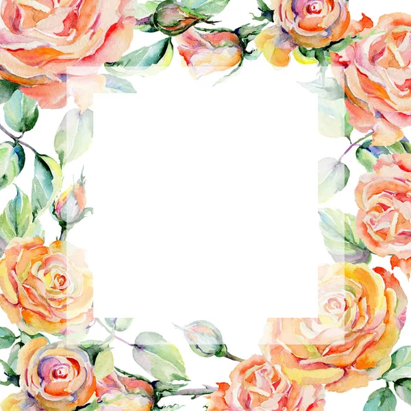 Wildblume Rose Blume Rahmen in einem Aquarell-Stil. — Stockfoto