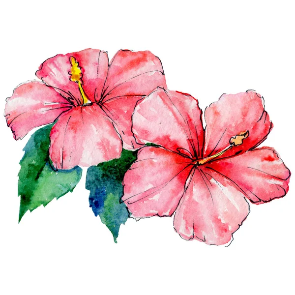 Tropical Hawaii leaves in a watercolor style isolated. — Stock Photo, Image