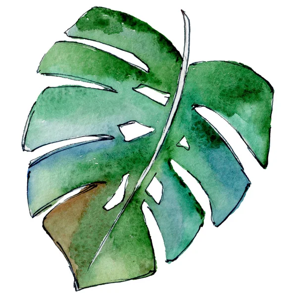 Tropikal Hawaii izole bir suluboya tarzında bırakır.