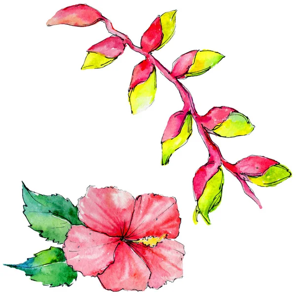 Tropical Hawaii leaves in a watercolor style isolated. — Stock Photo, Image