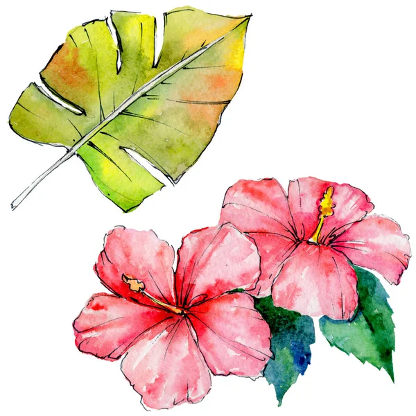 Tropical Hawaii leaves in a watercolor style isolated. — Stock Photo, Image