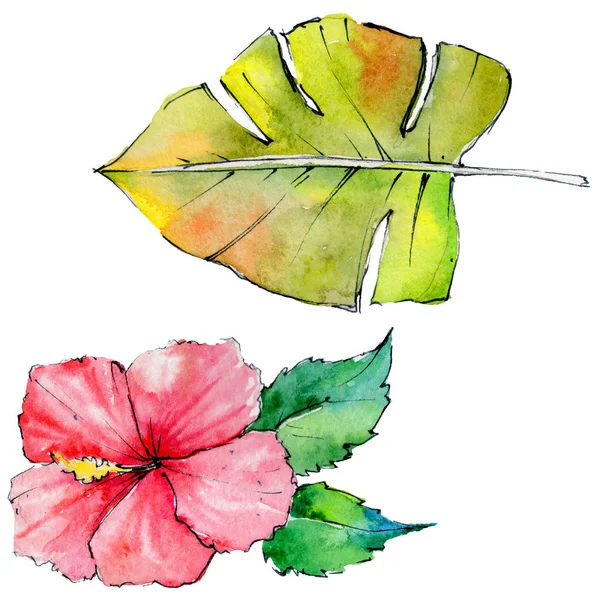 Tropische Hawaii bladeren in een aquarel stijl geïsoleerd. — Stockfoto