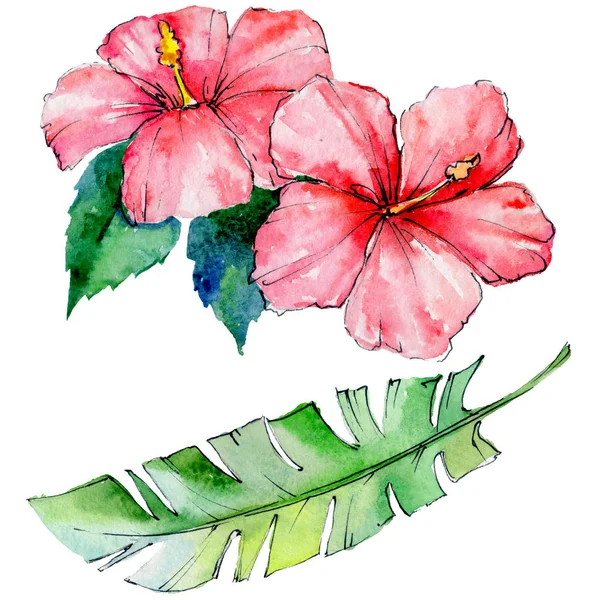 Tropikal Hawaii izole bir suluboya tarzında bırakır.