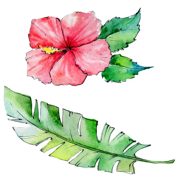 Tropische Hawaii bladeren in een aquarel stijl geïsoleerd. — Stockfoto