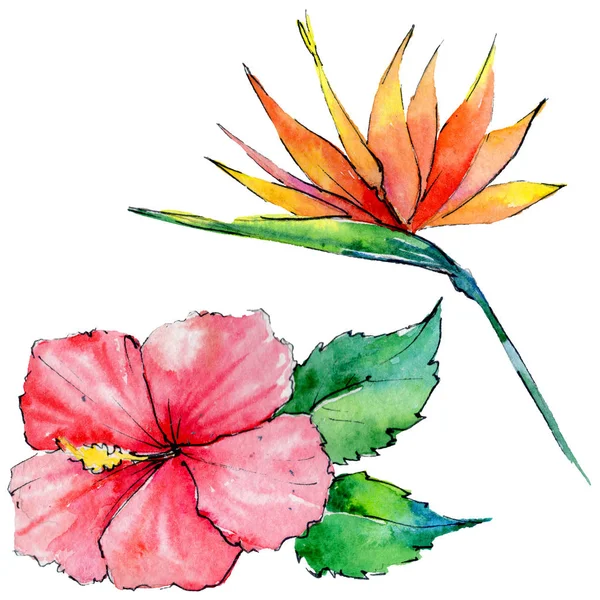 Tropical Hawaii leaves in a watercolor style isolated. — Stock Photo, Image