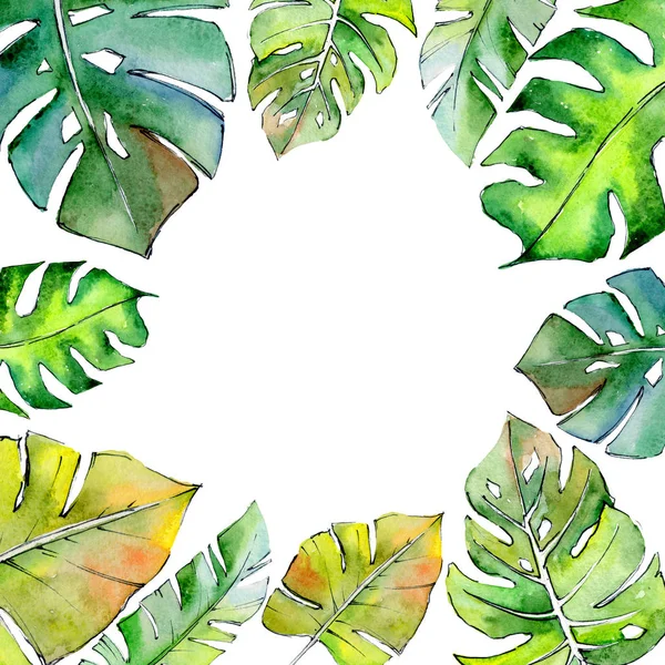 Τροπική Χαβάη φύλλα καρέ σε στυλ υδροχρώματος. — Φωτογραφία Αρχείου