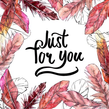 Suluboya kuş kanat tüy çerçevesinden.