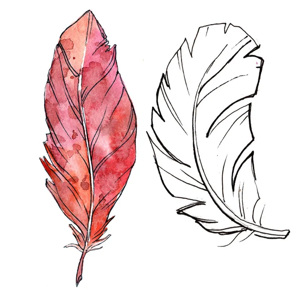 Watercolor bird feather from wing isolated. — Stock Photo, Image