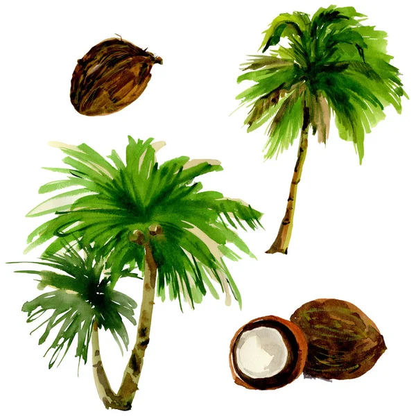 Le Hawaii tropicali lasciano una palma isolata in stile acquerello . — Foto Stock