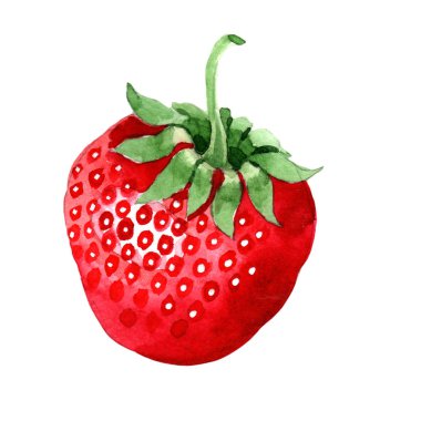 doku için suluboya çilek