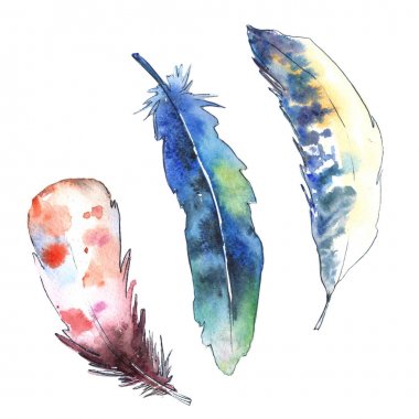 Arka plan için suluboya tüy