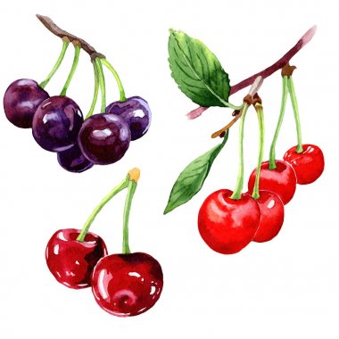 suluboya kiraz meyve