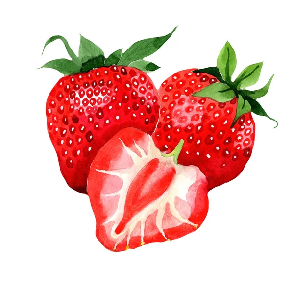 Aquarell Erdbeere für Speisekarte — Stockfoto