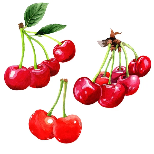 Aquarel Cherry fruit — Stockfoto