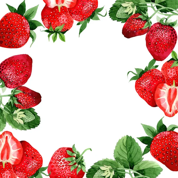 Fraise cadre alimentaire — Photo