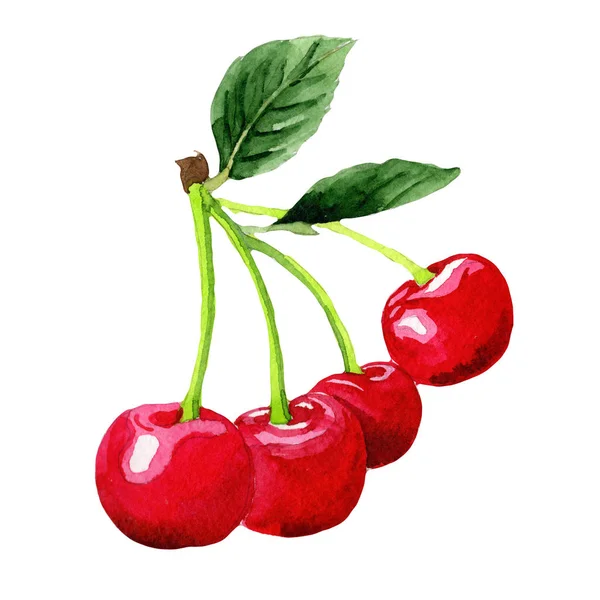 suluboya kiraz meyve