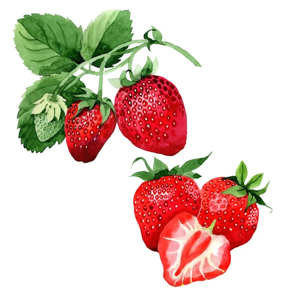 doku için suluboya çilek