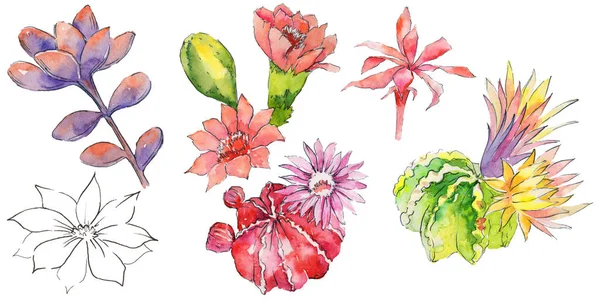 Барвисті квіти аквареллю — стокове фото