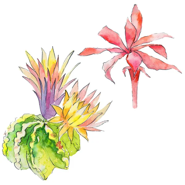 Vahşi suluboya kaktüs çiçek