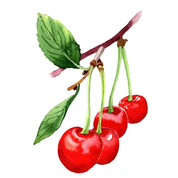 suluboya kiraz meyve