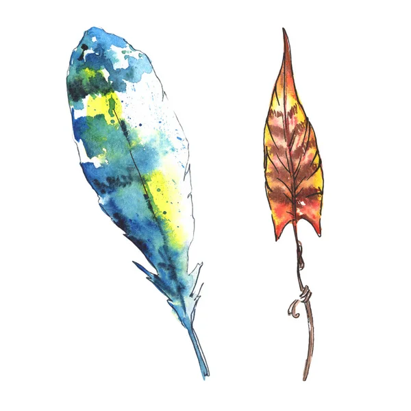 Pluma Aquarelle para frontera — Foto de Stock