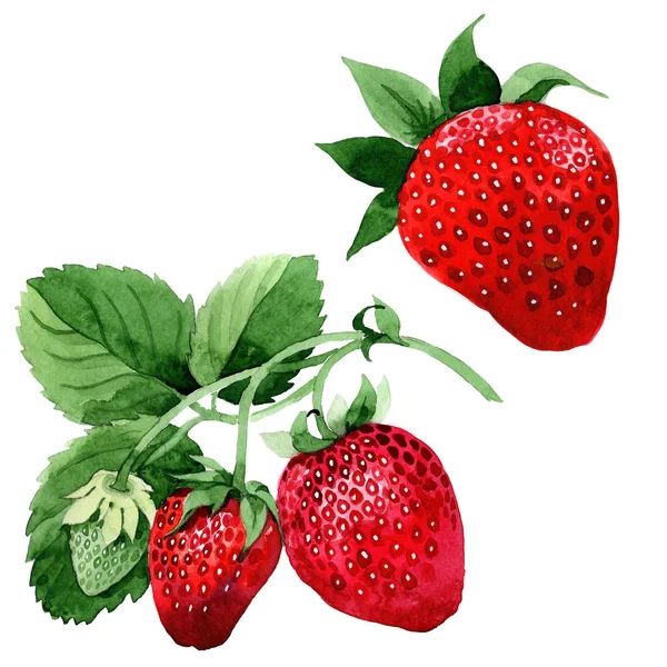 Akvarelu jahody pro pozadí — Stock fotografie