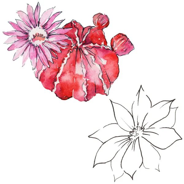 Vahşi kaktüs çiçek