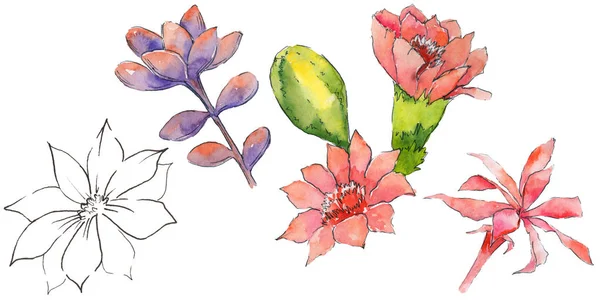 Färgglada akvarell blommor — Stockfoto