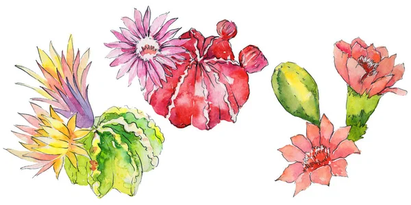 Colorati fiori ad acquerello — Foto Stock