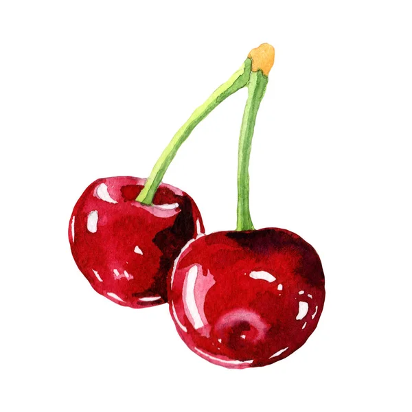 Watercolor Cherry fruit — Stock Photo, Image