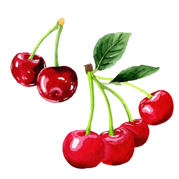 Aquarel Cherry fruit — Stockfoto