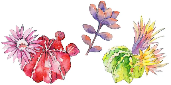 Kleurrijke aquarel bloemen — Stockfoto